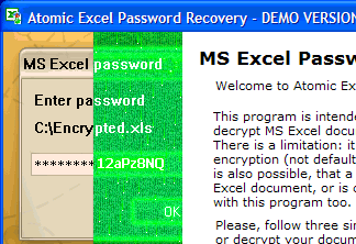 Microsoft Excel password