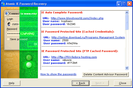 Atomic IE Password Recovery main window