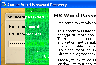 Microsoft Word password